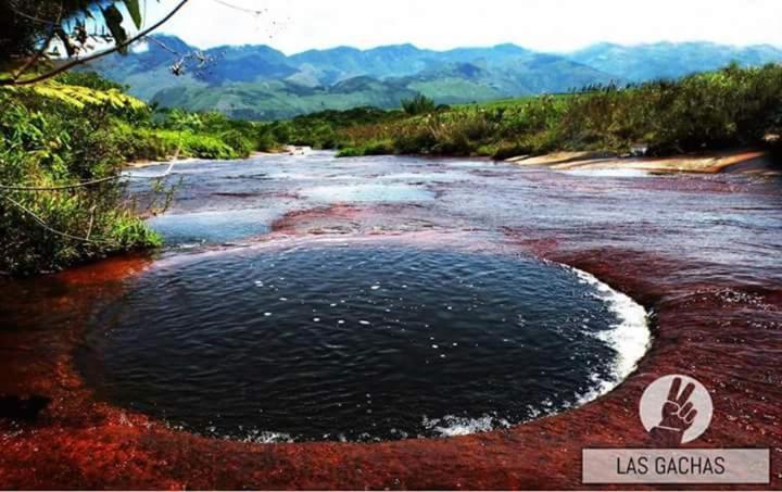 El Portal De Don Luis Hotell Guadalupe Exteriör bild